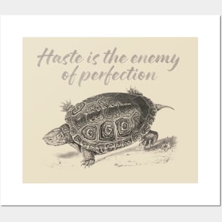 Haste is the enemy of perfection Posters and Art